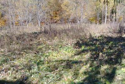 Vand teren intravilan in Paraul Rece - 2