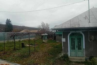 Casă cu 2 camere în Central - 7