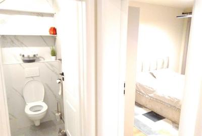 Tractorul, Brasov Tractorul, Brasov - 7