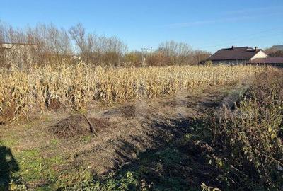 Casă cu 3 camere cu Teren 4900 Mp în Udești - 7