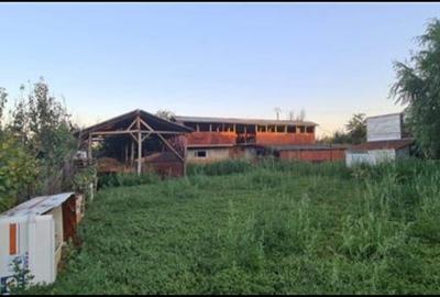 Teren+Construcții agricole (fost CAP) - 1