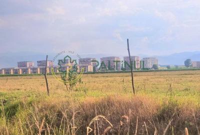 Teren intravilan 18.000 mp - Calea Șurii Mici, Sibiu - 3