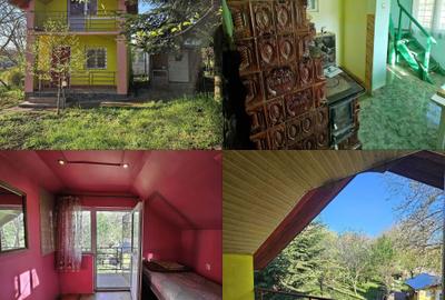 Casă cu 2 camere în Ațintiș - 8