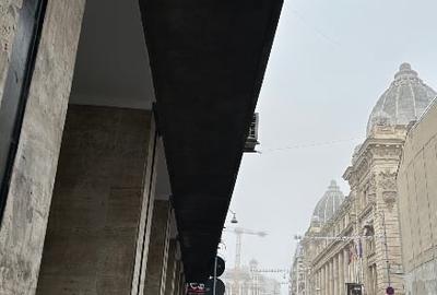 Spatiu Comercial Calea Victoriei 1 Stradal Vad comercial zona intens circulata - 8