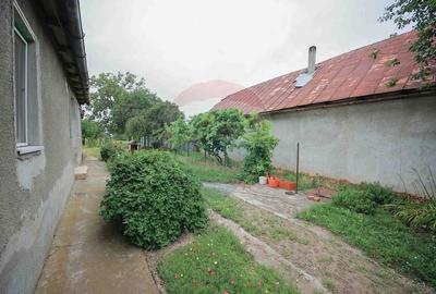De vanzare casa cu 3 camere si teren 3205 mp in Sannicolau Roman - 2