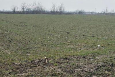 Spațiu comercial, în Central - 6