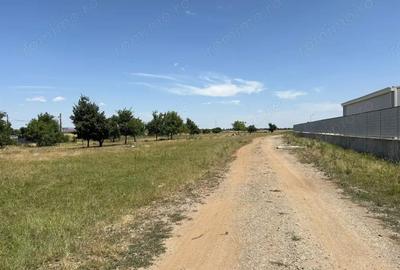 Teren de 10000 mp, în Brănești - 2