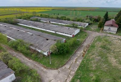 Vand Fost Complex de porci - 5