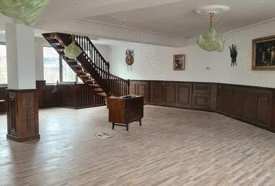 Adiacent Bucur Obor spatiu comercial - 3