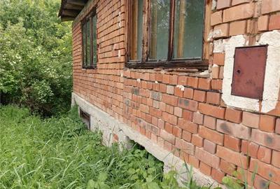 Teren de 16000 mp, în Borlovenii Noi - 3