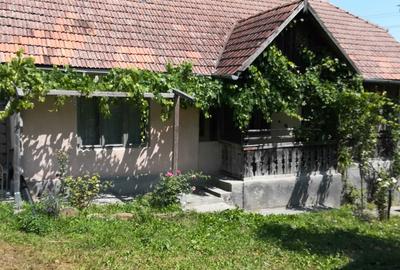 Casă cu 3 camere în Chiochiș - 3