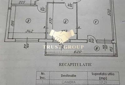 Apartament 3 camere Banu Manta-Parc Kiseleff-Victoriei - 14