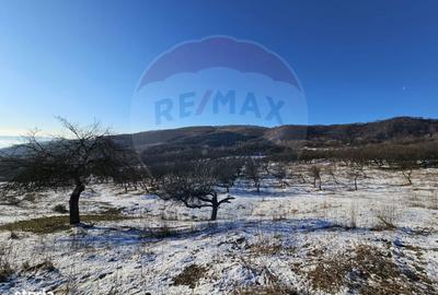 Teren de 5054 mp, în Dealul Malului - 3