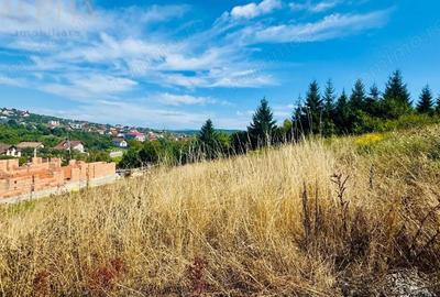 Teren de 680 mp, în Viișoara - 1
