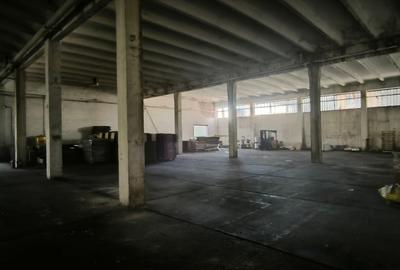 Imobil industrial, logistic si administrativ de vanzare - Giurgiu - 6