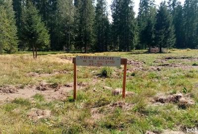 Teren de 2553 mp, în Smida - 2