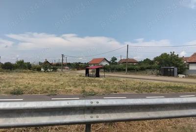 Casă cu 3 camere cu Teren 2110 Mp în Domănești - 5