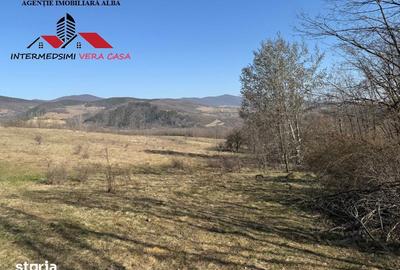 Teren de 28900 mp, în Vințu de Jos - 5