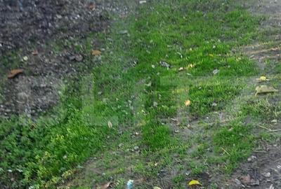 Pachet complet: casa + 800 mp Cocorastii Colt - 22