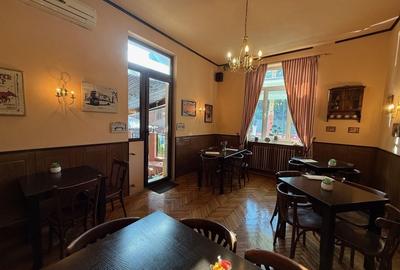 VILA LOCATIE UNICA GRADINA ICOANEI - 4