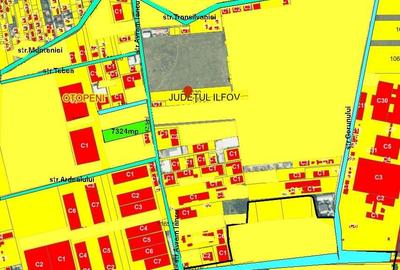 Teren intravilan zona servicii,7324mp cu deschidere de 42.5ml la sosea asfaltata - 2
