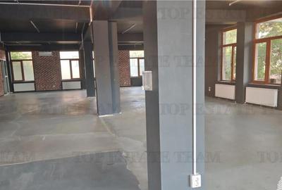 Spatiu comercial, stradal, parter de bloc si demisol, 800mp - 4