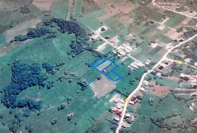 Teren de 990 mp, în Cacica - 7