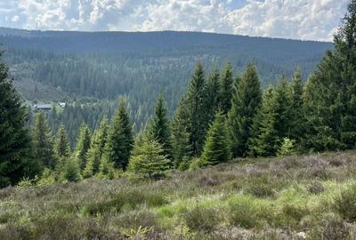 Spațiu comercial, în Poiana Horea - 1