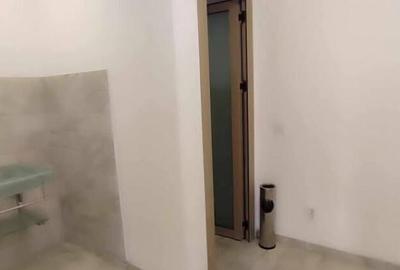 Inchiriere spatiu comercial, 120 mp, zona Calea Severinului - 10