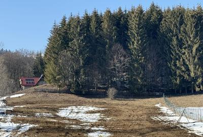 Teren Construcții intravilan de 4521 mp, în Valea Doftanei - 4