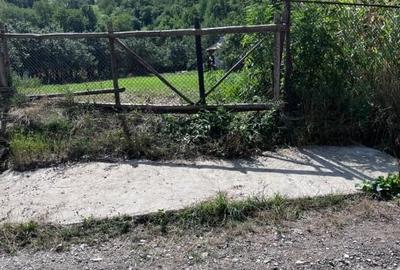 Teren Construcții intravilan de 3026 mp, în Gârcina - 4