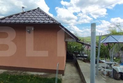 Casa+ casa vacanta, 2200 mp livada, Schitu-Duca - 8