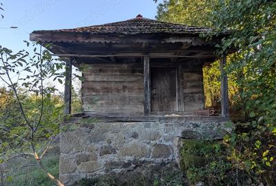 Casa ?araneasca cu livada ?i gradina mare,Vata de jos,Hunedoara - 6