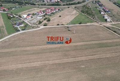 Teren intravilan cu apa si canalizare posibilitate de extindere - 3