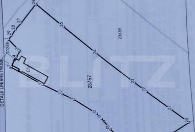 Casa individuala cu crama, teren 6700mp, Plopu - 8