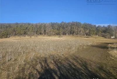 Teren de 900 mp, în Sânpetru - 3