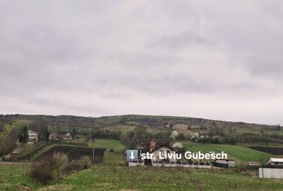 Teren de 3350 mp, în Viișoara - 2