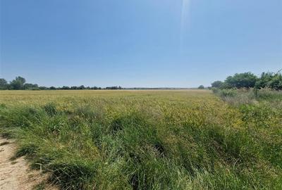 RECO teren intravilan in Fughiu 9 e/mp - 1