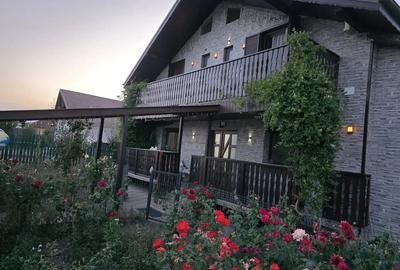 Casă cu 5 camere cu Teren 1000 Mp în Colonia Bod - 9