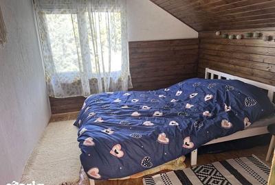 Casă cu 3 camere cu Teren 60 Mp în Băișoara - 7
