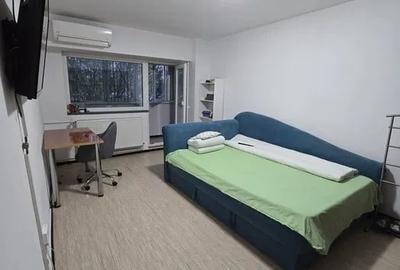 Garsonieră decomandată, mobilată în Câmpia Libertății - 1