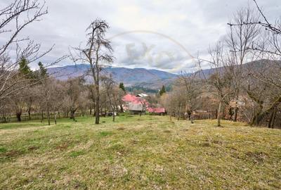 Casă individuală cu 4 camere cu Teren 4213 Mp în Nucșoara - 9