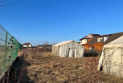 Teren de 1200 mp, în Snagov - 4