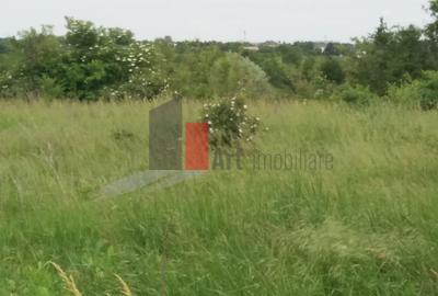 Teren Buftea cu iesire la lac - 14