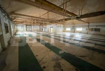 Hala+birouri, 15533mp utili, teren 21323mp, Freidorf - 14