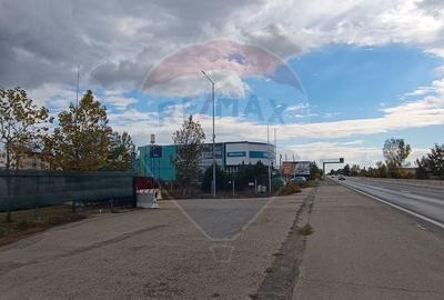 Teren Construcții intravilan de 6500 mp, în Snagov