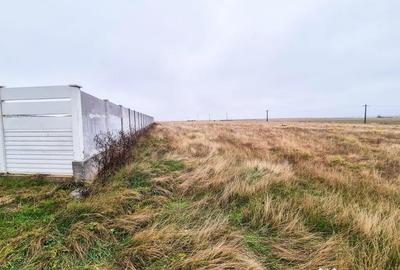 Teren de 1000 mp, în Bradu - 1