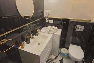 Apartament cu 2 camere decomandat în Seleuș - 17