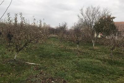 Alios - Teren Intravilan - 1470Mp Alios - Teren Intravilan - 1470Mp - 3