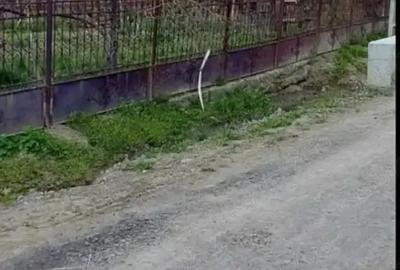Casă cu 5 camere în Luieriu - 6